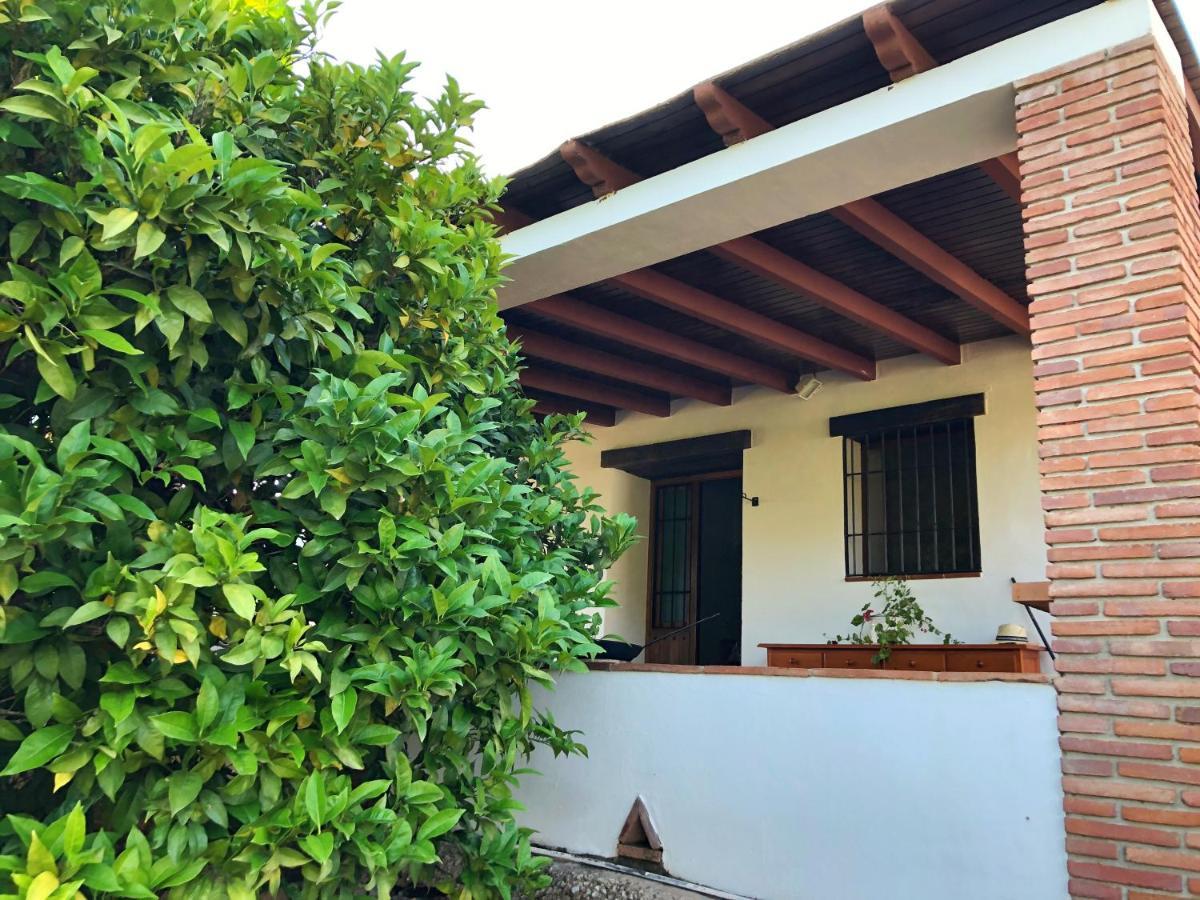 Villa Bonita Nerja Buitenkant foto